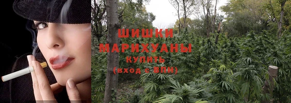 тгк Балахна