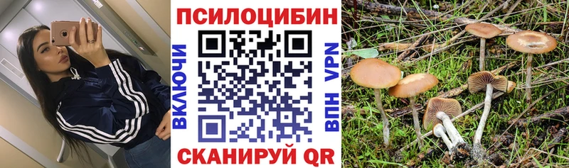 Галлюциногенные грибы MAGIC MUSHROOMS  где можно купить   Кузнецк 